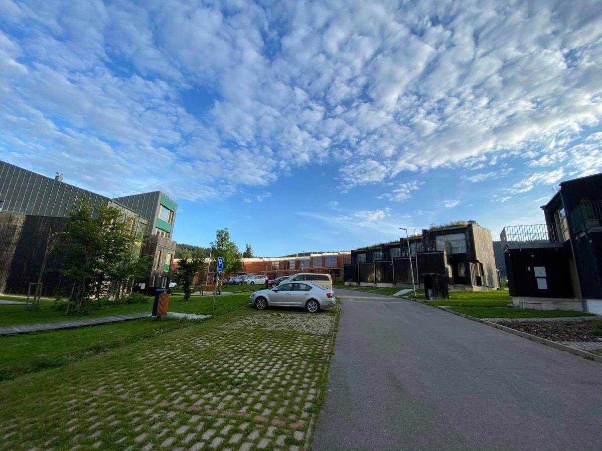 Miky Apartman Klinovec Loucna pod Klinovcem Luaran gambar